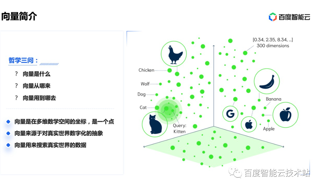 5.webp